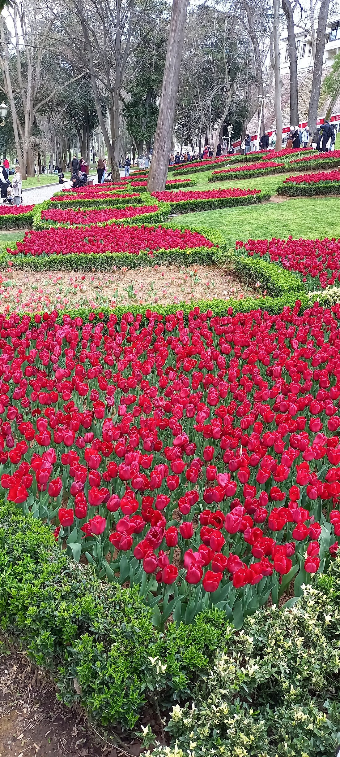 Istanbul city tour  guided tour istanbul experience 26 05 11 ot